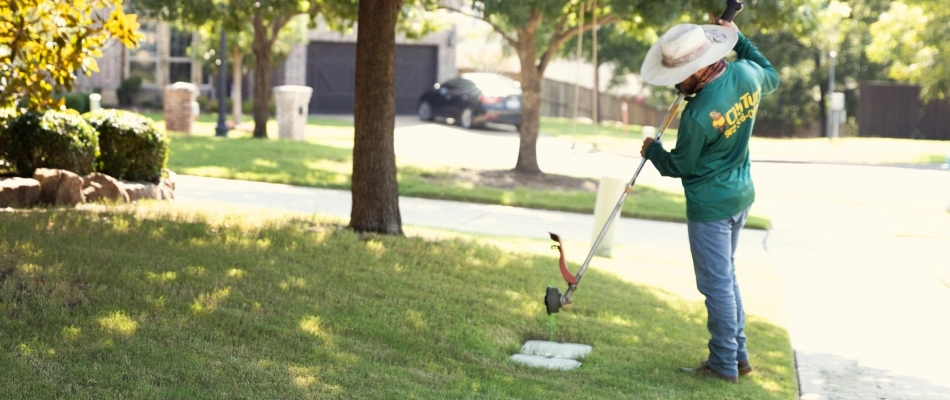 Cititurf professional edging lawn after mowing services in The Colony, TX.