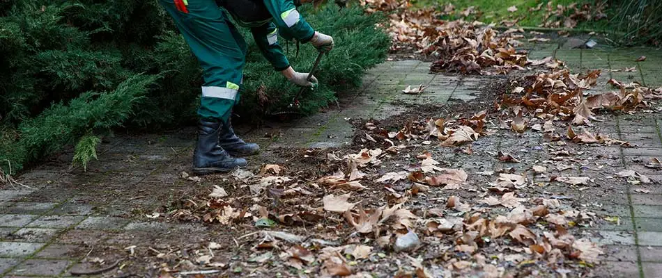 Clearing leaves and debris from a property in Plano, TX.