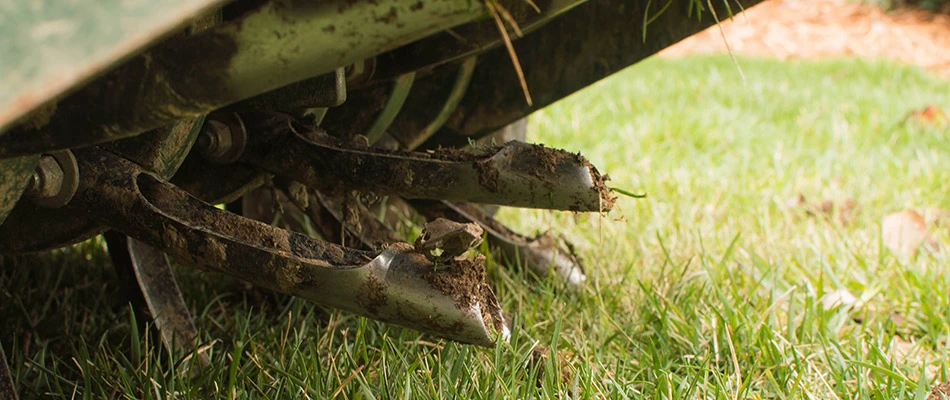 Our core aeration machine in action at a home in Plano, TX.
