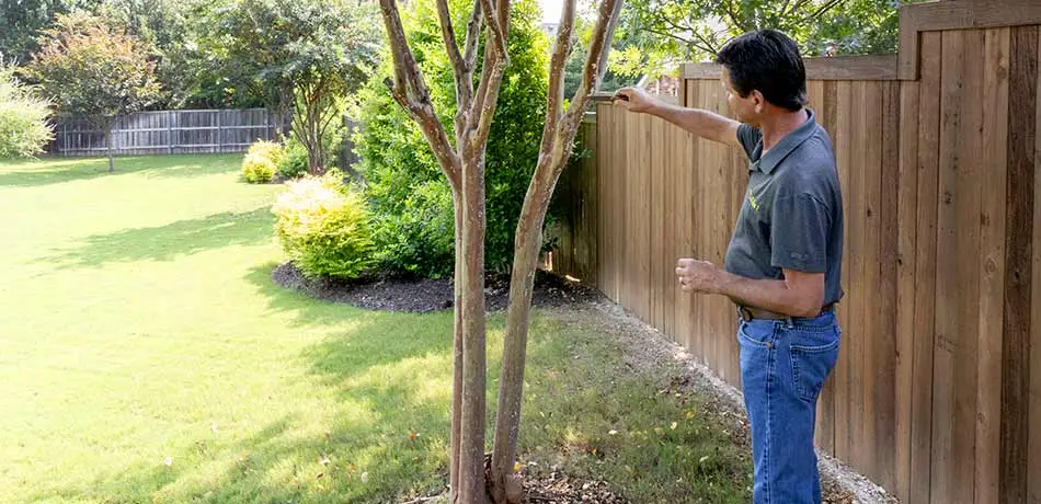 Crepe myrtle bark scale diagnosed at a property in Murphy, TX.