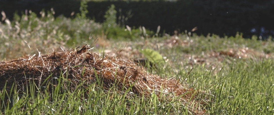 Debris piles spread through lawn in Murphy, TX.