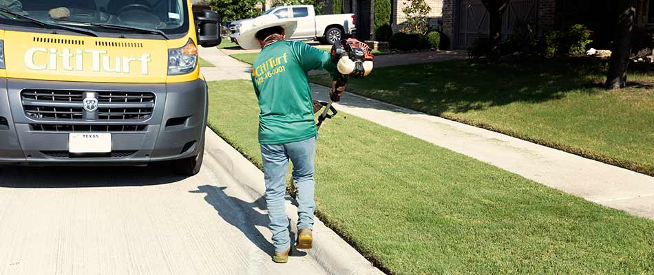 Edging a freshly mowed lawn in Allen, TX.