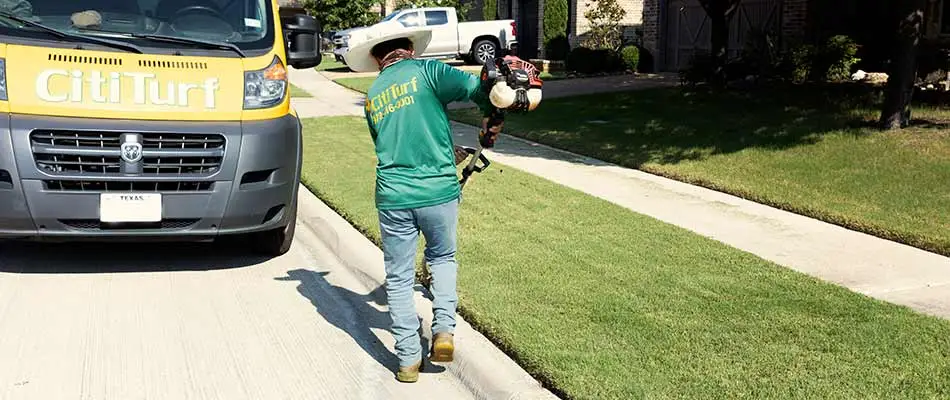 Edging a freshly mowed lawn in Allen, TX.