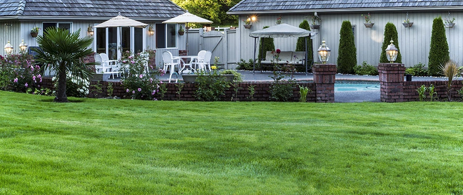 A healthy green lawn behind a home and pool in Sachse, TX. 