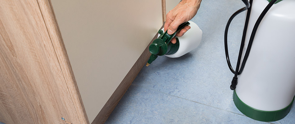Our specialist performing interior pest control at a home in Sachse, TX.