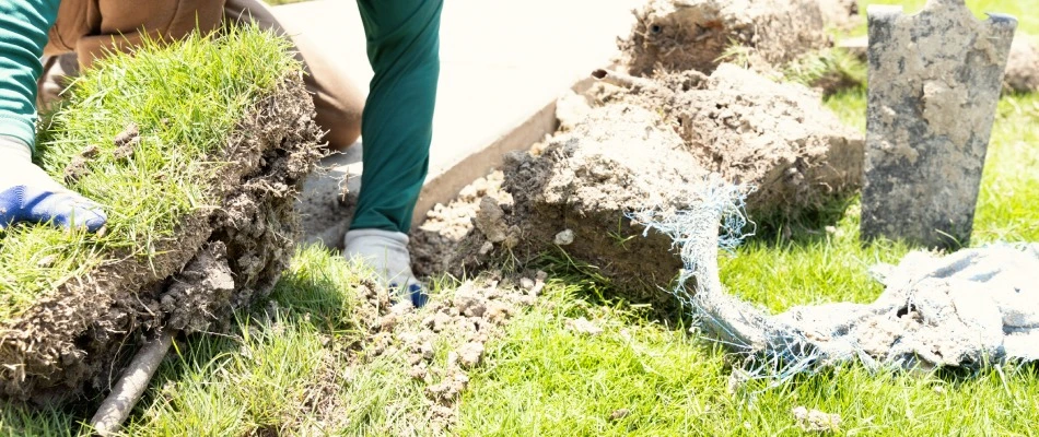 Irrigation specialist repairing irrigation line in Plano, TX.