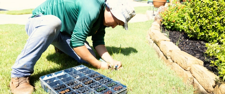 Irrigation tech replacing sprinkler head with a new one in Plano, TX.