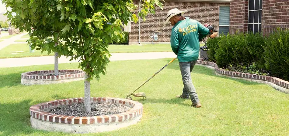 Newly mowed grass with weedeating service in front of a home in Murphy, TX.