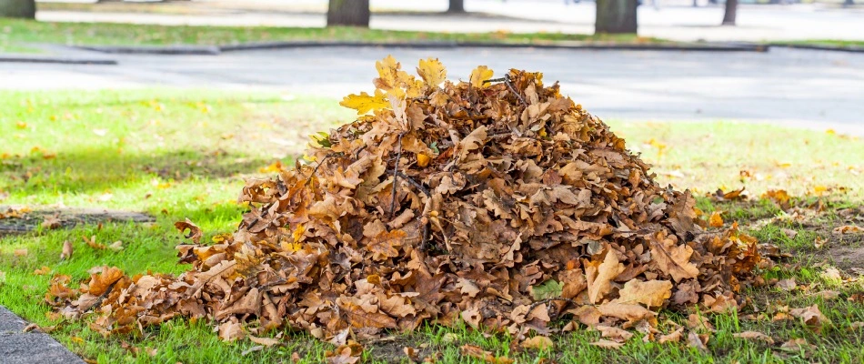 Leaf pile ready for removal in Wylie, TX.