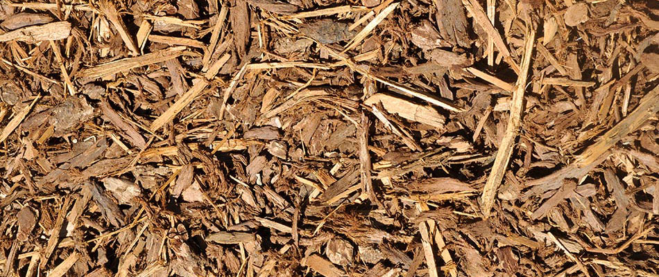 Light brown shredded hardwood mulch in Frisco, TX. 