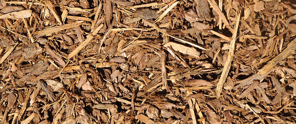 Light brown shredded hardwood mulch in Frisco, TX.