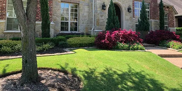 McKinney, TX yard with landscape maintenance and trimmed shrubs.