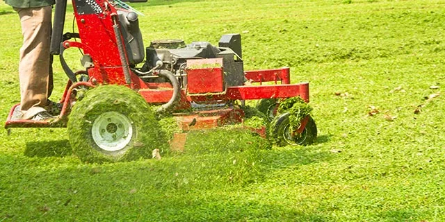 Fairview, TX mower in lawn.