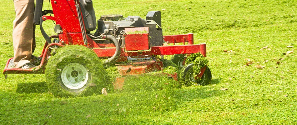 Professional mowing a lawn in Richardson, TX.