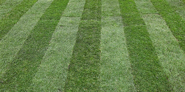 Garland, TX mowing patterns from mowing service.