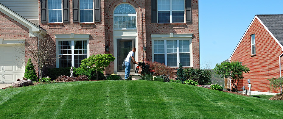 Gorgeous lawn being mowed in the front yard of a beautiful brick house in Garland, TX.