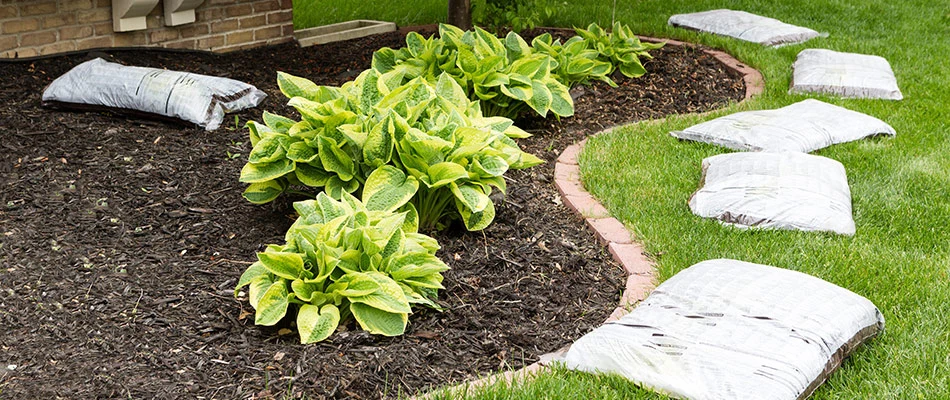 Mulch being added to a landscape bed in Parker, TX.