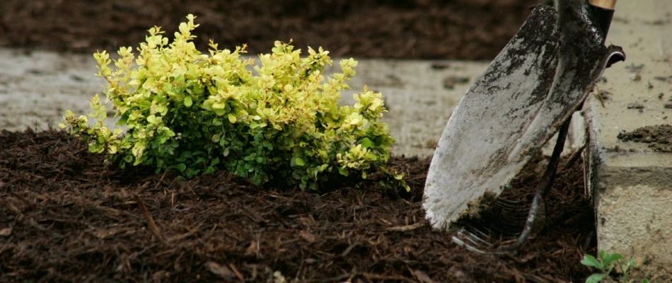 Mulch being installed with shovel into landscape bed in Wylie, TX.