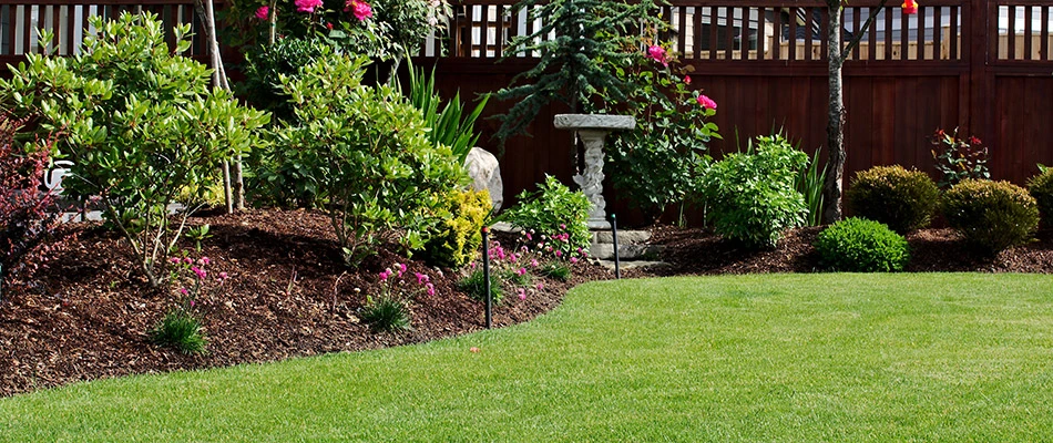 A freshly mulched landscape bed in the backyard of a home in Plano, TX.