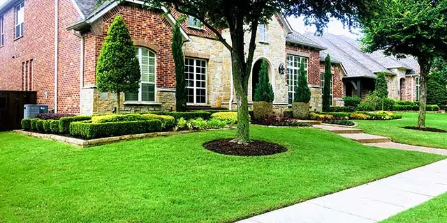 Murphy, TX home with freshly mowed lawn and trimmed landscape bushes.