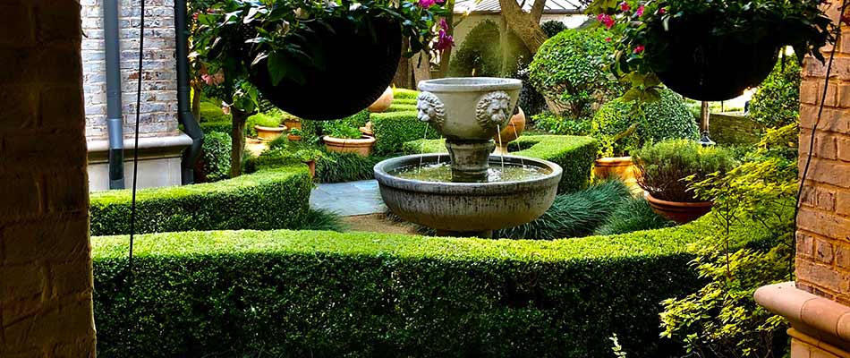 Neatly trimmed landscaping in Plano, TX.