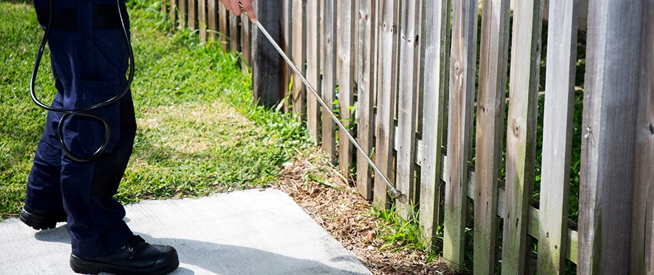 Professional spraying the perimeter of a property to ward off pests in Fairview, TX.