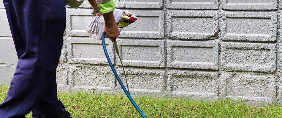 Perimeter pest control solution is being applied to the edge of a wall in Garland, TX.