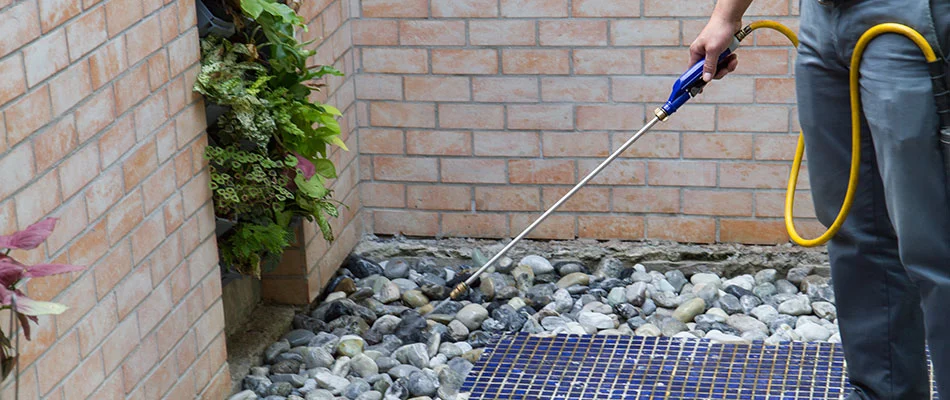 Our landscaper performing perimeter pest control on our client's home in Frisco, TX. 