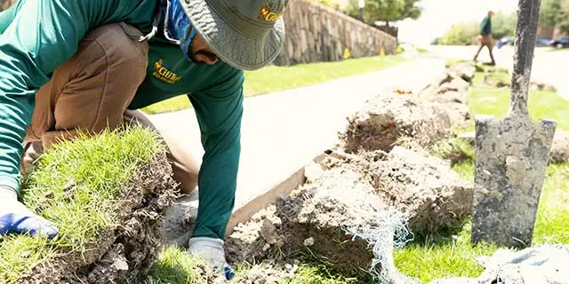 Irrigation expert repairing a main line in Plano, TX.