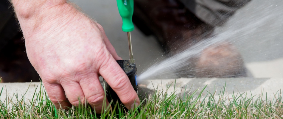 Professional adjusting sprinkler nozzles in lawn in Sachse, TX.