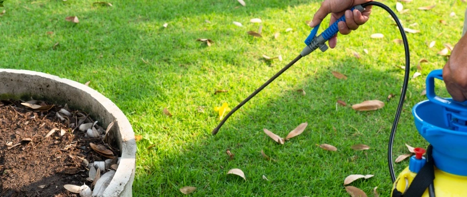 Professional applying pre emergent weed control treatment around landscape bed in Wylie, TX.