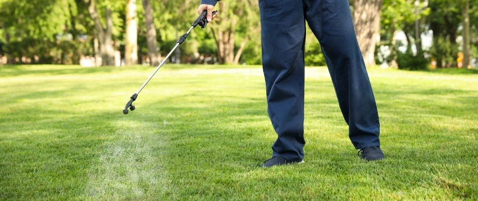 Pre-emergent weed control being applied to lawn by a technician in Murphy, TX.