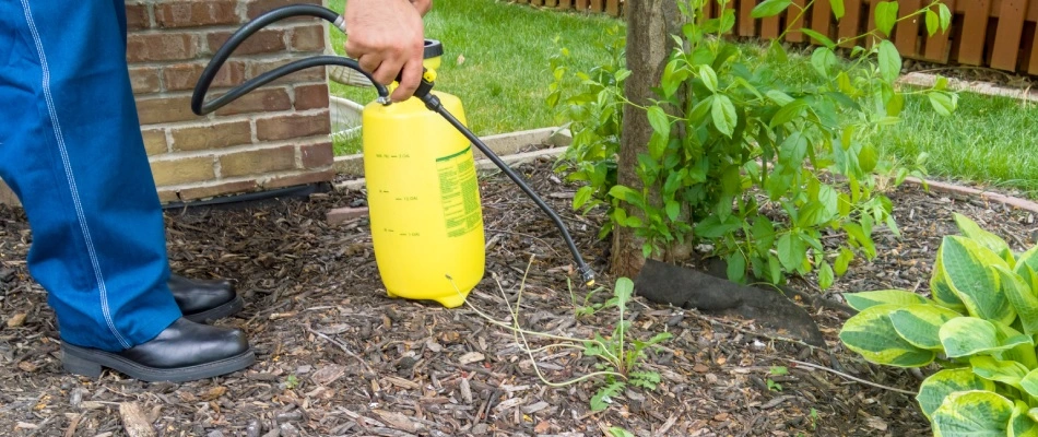 Professional applying landscape bed weed control in Sachse, TX.