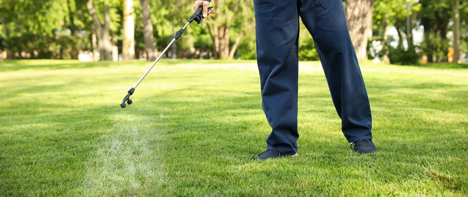 Liquid fertilizer being applied to a lawn in Plano, TX.