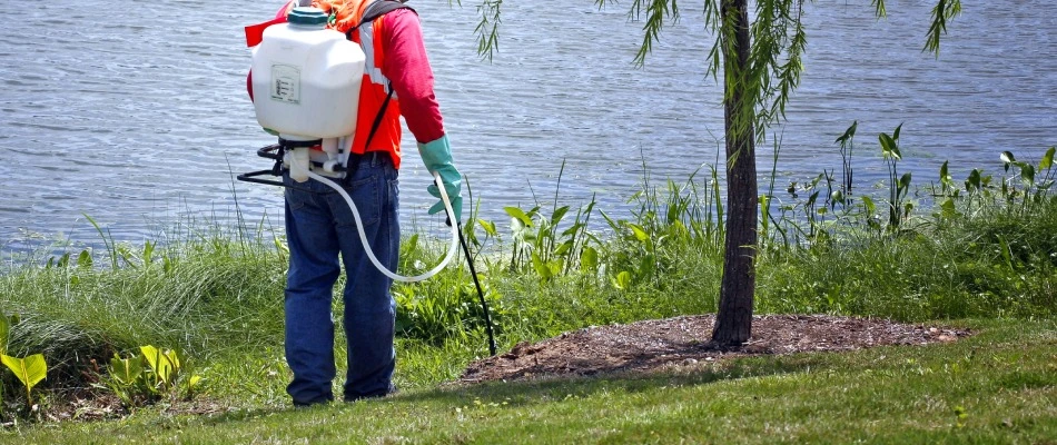 Professional applying pesticide treatment to property in Allen, TX.