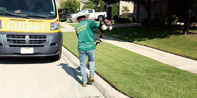 Lawn maintenance pro trimming grass along a curb in Sachse, TX.