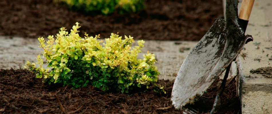 Shovel placed beside freshly installed mulch for landscape bed in Murphy, TX.