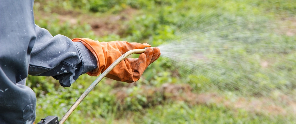 A homeowner in Fairview, TX wearing orange gloves and handling a weed control spray.