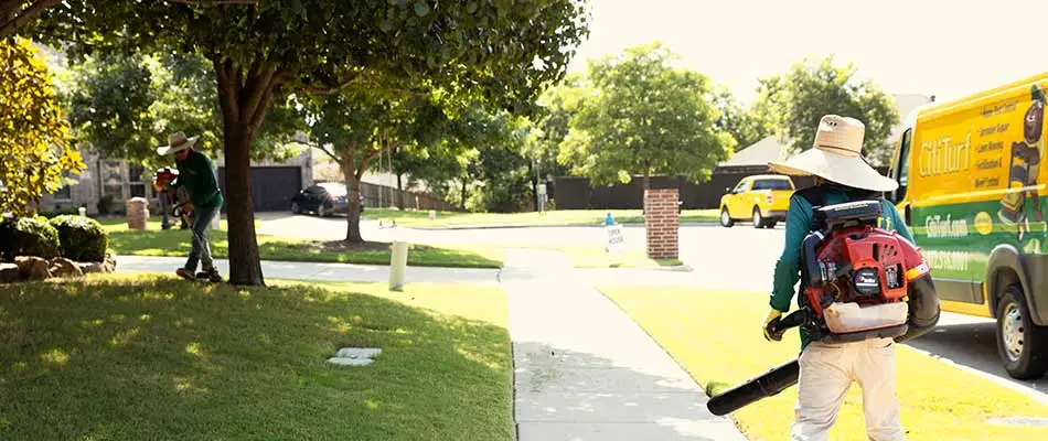 Weed eating and blowing after lawn mowing services in Plano, TX.