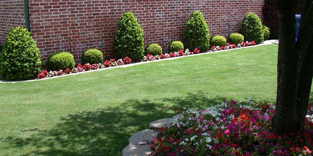 Wylie, TX home with landscape maintenance and trimmed shrubs.