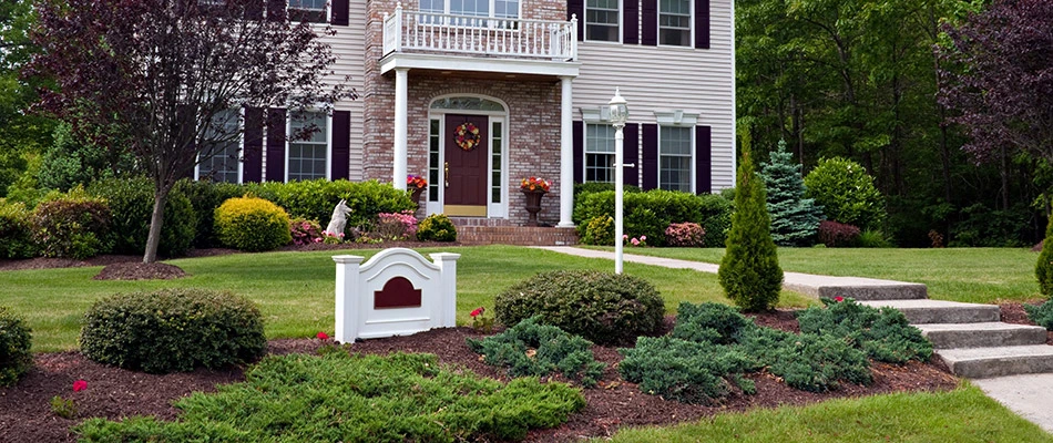 A cleaned and maintained yard at a home in Allen, TX. 