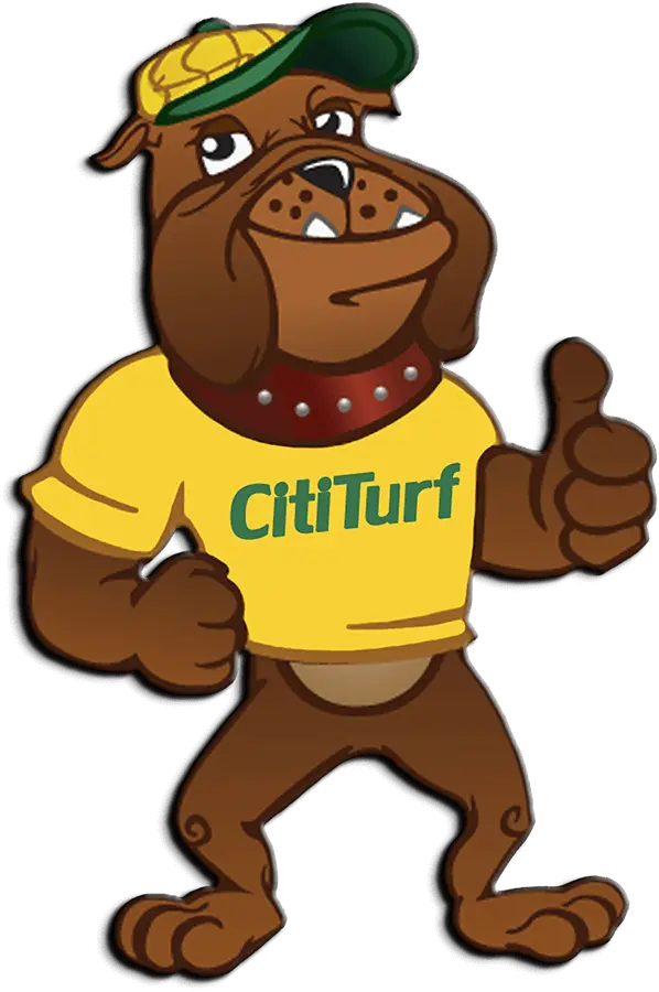 CitiTurf brand mascot dog