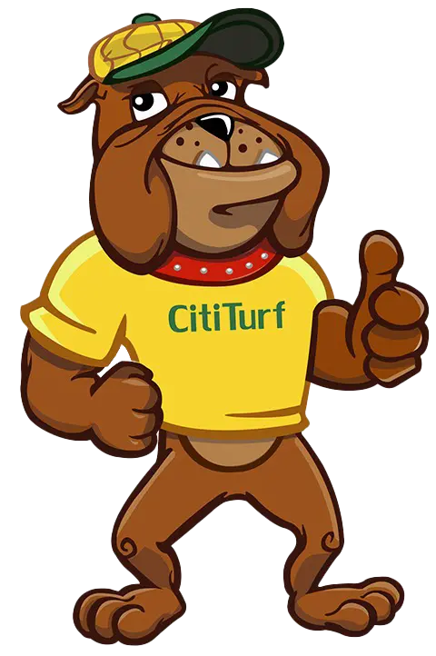 CitiTurf brand mascot dog