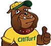 CitiTurf logo mascot